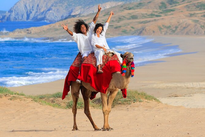 Beach Camel Ride and Encounter in Cabo - Why a beach camel ride works better than the desert version
