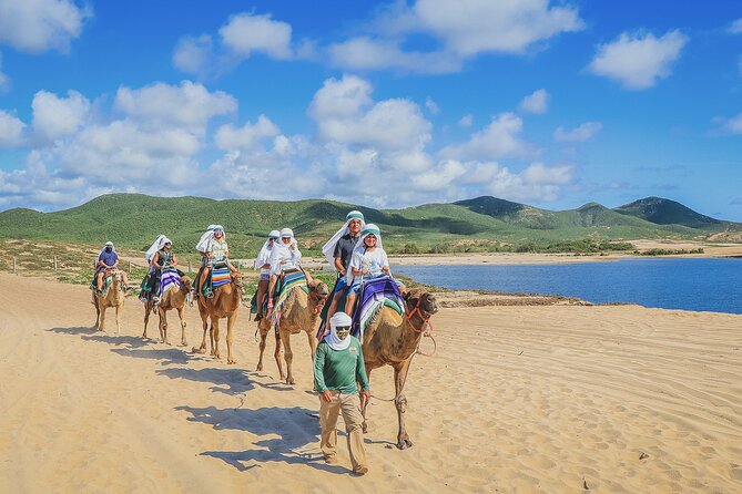 Beach Camel Ride and Encounter in Cabo - Food and tequila tasting: included, but your taste decides the score