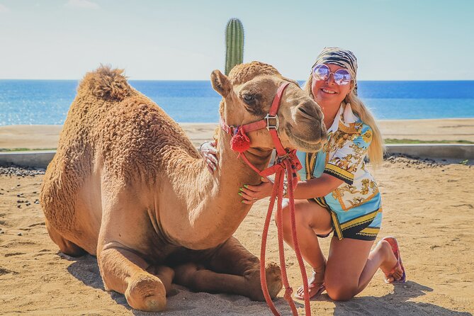 Beach Camel Ride and Encounter in Cabo - Photo and camera rules: how to enjoy the ride without “nickel-and-dime” stress