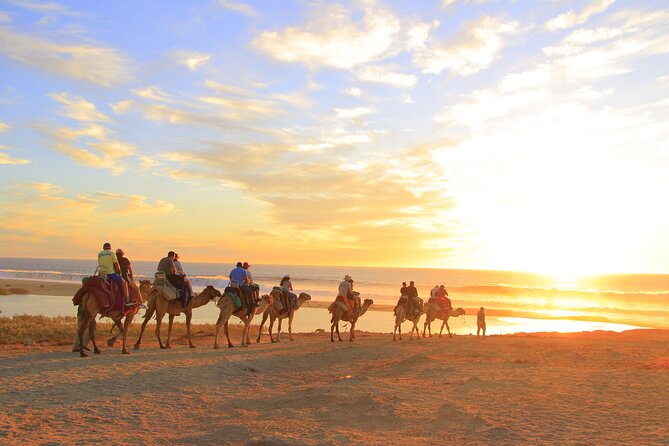 Beach Camel Ride and Encounter in Cabo - Weather-proofing: the tour runs in all conditions, but wear for Cabo
