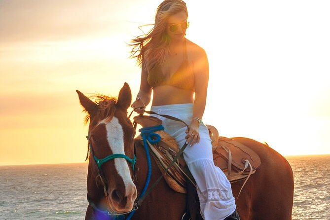 Beach Camel Ride and Sky Bike in Cabo - Tequila tasting and the reality check on included extras