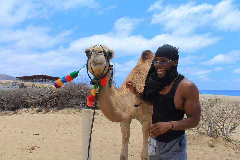 Beach Camel Ride & Encounter in Cabo by Cactus tours park - Key highlights worth your attention