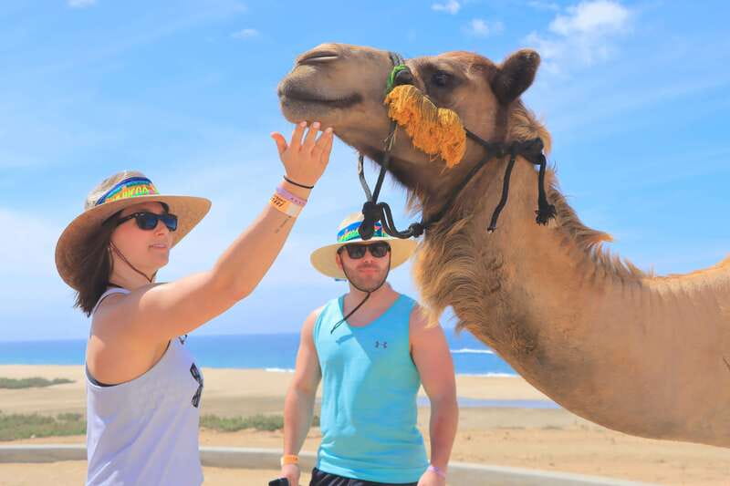 Beach Camel Ride & Encounter in Cabo by Cactus tours park - Photos, souvenirs, and the no-phone trade-off