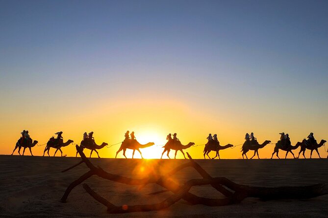 Beach CAN-AM SXS X3 and Camel Ride in Cabo - How the SXS + Camel Ride combo makes sense in Cabo