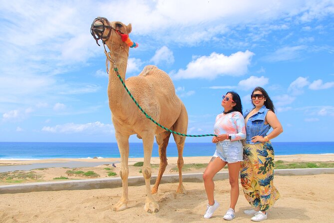 Beach CAN-AM SXS X3 and Camel Ride in Cabo - Price and value: what you get for $175, and what can cost more