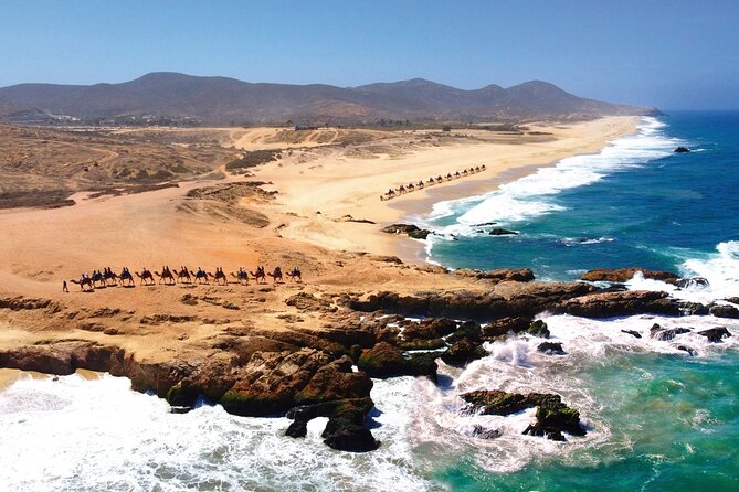 Beach CAN-AM SXS X3 and Camel Ride in Cabo - Who this tour fits best (and who should rethink it)