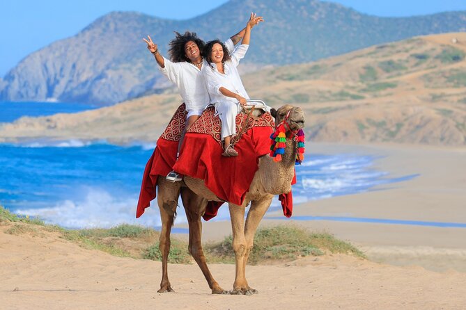 Beach CAN-AM SXS X3 and Camel Ride in Cabo - Should you book Beach CAN-AM SXS X3 and Camel Ride in Cabo?