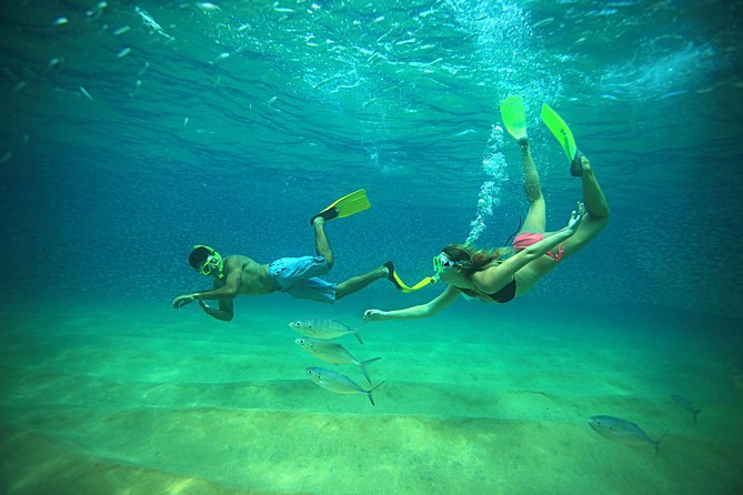 Beach Hopper Small-Group Snorkeling Tour in Los Cabos - Why This Small-Group Cabo Snorkeling Tour Feels Different