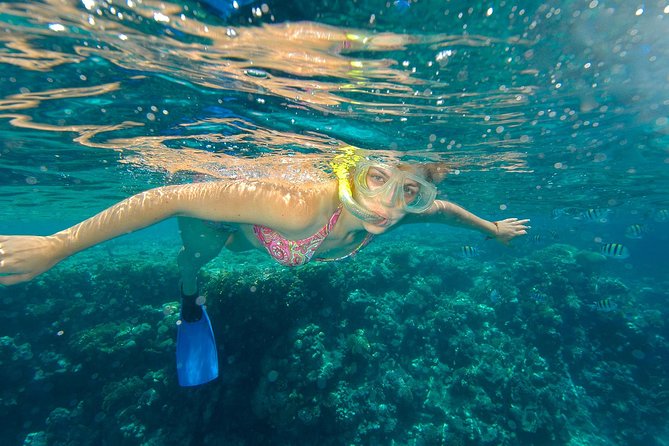 Beach Hopper Small-Group Snorkeling Tour in Los Cabos - Meeting Point and Timing: How the Day Starts