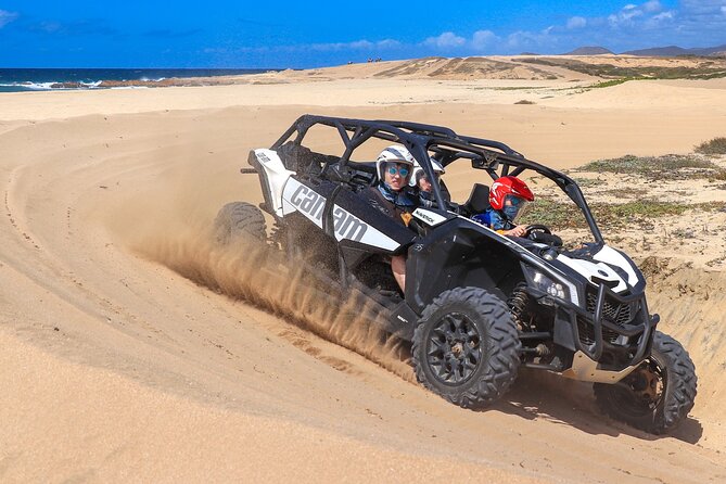 Beach UTV Adventure with Free Camel and Horseback Ride - What This Cabo Adventure Really Delivers