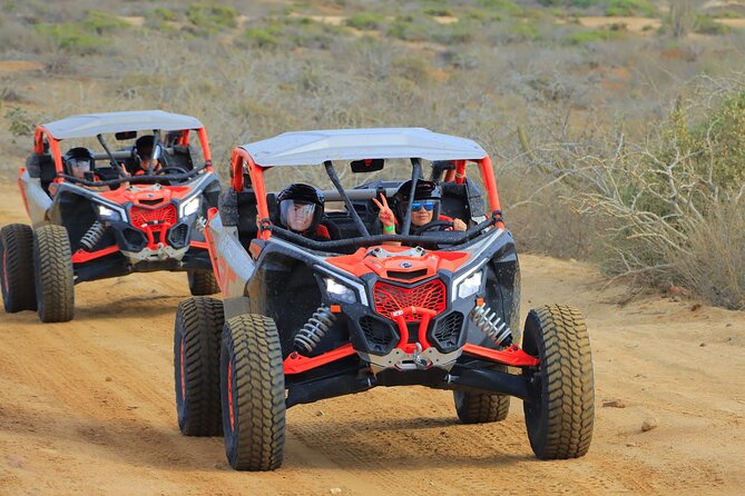 Beach UTV and Camel Ride Combo in Cabo - Price and extras: how to budget so you feel in control