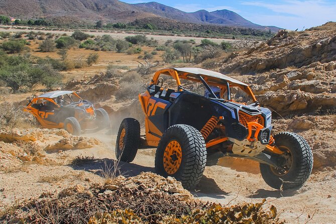Beach UTV and Camel Ride Combo in Cabo - Check-in at Cactus Tours: herpetarium stop and safety prep