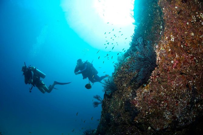 Beginner Scuba Diving in Cabo San Lucas - First Things First: What You Do Before You Go Underwater