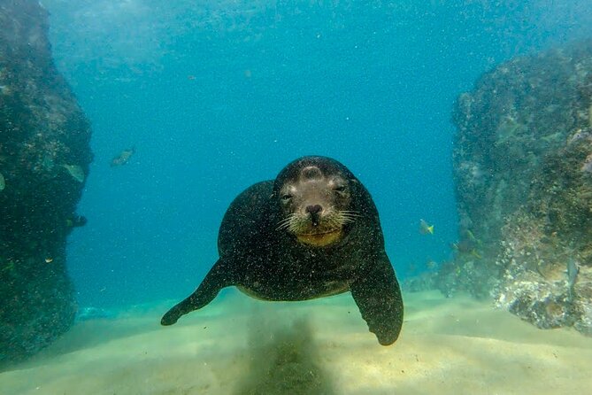 Beginner Scuba Diving in Cabo San Lucas - Learning Skills Under Pressure (Without the Panic)