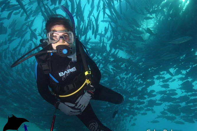 Beginner Scuba Diving in Cabo San Lucas - Gear, Equipment Fees, and What You Should Plan to Pay