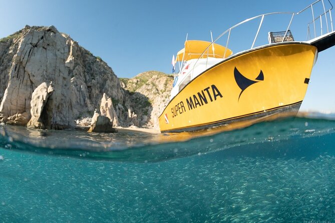 Beginner Scuba Diving in Cabo San Lucas - Price and Value: Is $142 Fair for a Beginner Session?