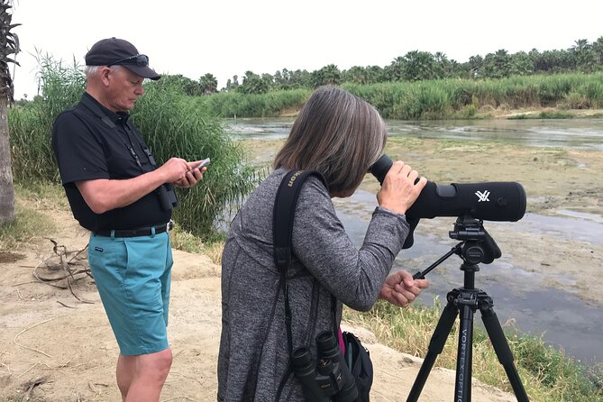 Birding San Jose Estuary Los Cabos Mexico - Key Points You’ll Care About