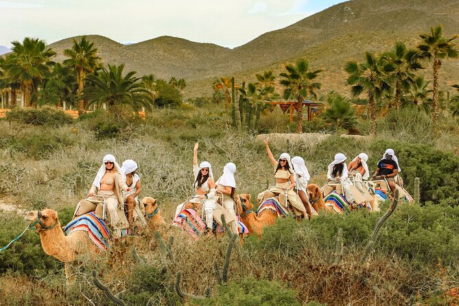 Boat Ride to the Arch and Beach Camel Ride in Cabo San Lucas - Fast boat to El Arco and Playa de los Amantes: the main event