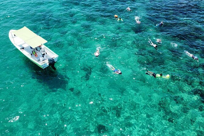 Boat ride to the Arch and Snorkel - Key points to know before you go