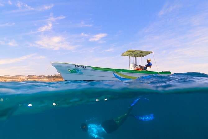 Boat ride to the Arch and Snorkel - Snacks, Cold Drinks, and the Fresh Guacamole Moment