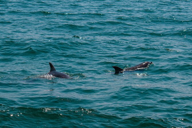 Boat Tour Snorkeling Tour with Guide, Drinks and Fruit - 45 Minutes on the Glass-Bottom Boat: Cabo’s Iconic Stops