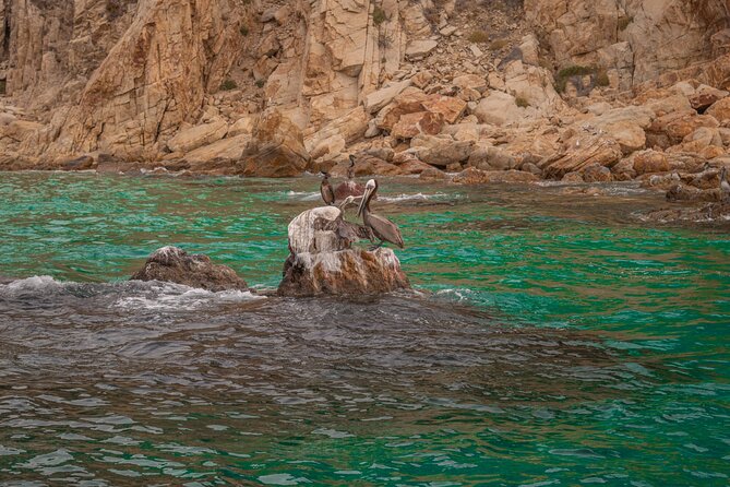 Boat Tour Snorkeling Tour with Guide, Drinks and Fruit - Price and Value at $45: What You’re Actually Paying For