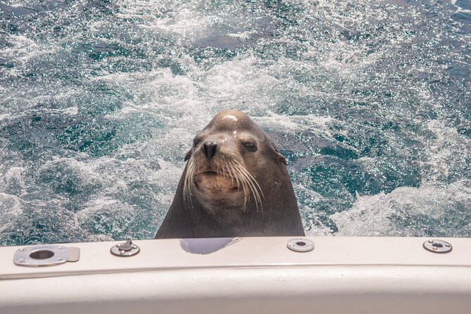 Boat Tour Snorkeling Tour with Guide, Drinks and Fruit - Who This Tour Fits Best (and Who Should Rethink It)