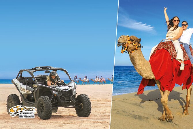 Cabo Adventure: Can-Am X3 Ride & Camel Beach Tour - How Baja Dunes and a Camel Ride Fit into 2 Hours