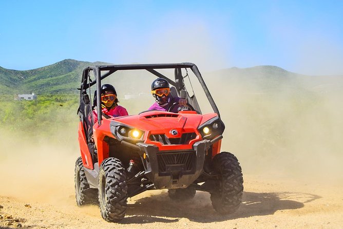 Cabo Adventure: Can-Am X3 Ride & Camel Beach Tour - Price and Logistics: What $175 Really Buys