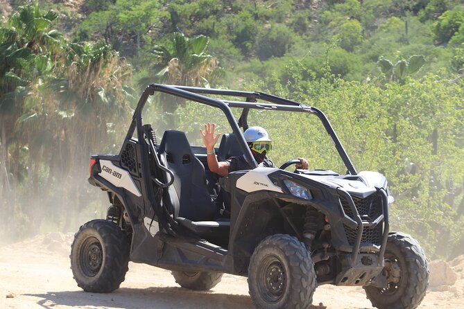 Cabo Adventure: Can-Am X3 Ride & Camel Beach Tour - The Camel Encounter on the Pacific Coast: Facts, Feeding, and Coast Views