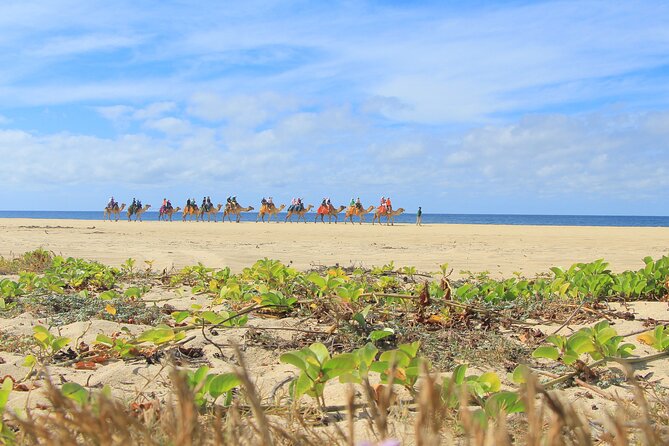 Cabo Adventure: Can-Am X3 Ride & Camel Beach Tour - Booking with Confidence: What You Should Double-Check