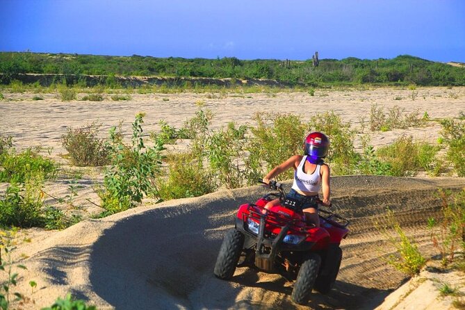 Cabo ATV and Camel Ride Combo Migriño Adventure - Should you book Cabo ATV and Camel Ride Combo Migriño Adventure?