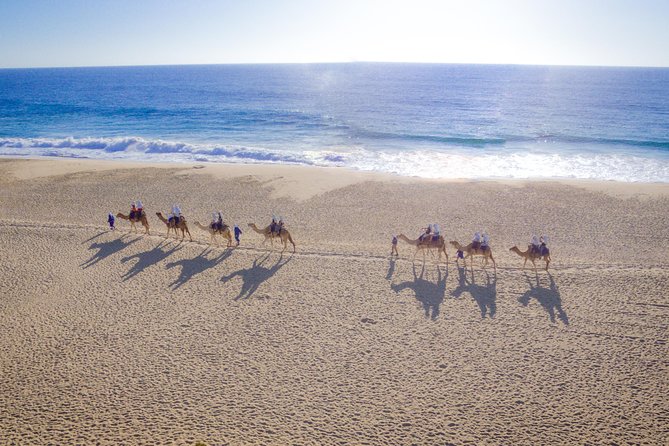 Cabo Beach Camel Ride, Mexican Buffet and Tequila Tasting - Key takeaways before you go