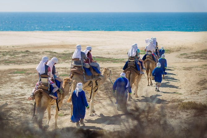 Cabo Beach Camel Ride, Mexican Buffet and Tequila Tasting - Photos and the camel: how to get souvenirs without getting surprised