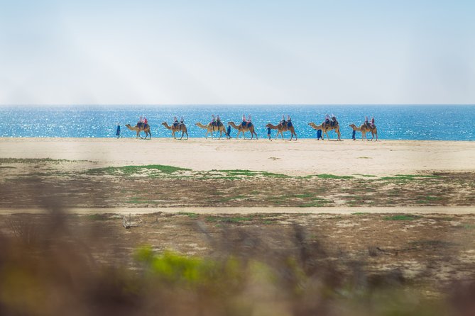 Cabo Beach Camel Ride, Mexican Buffet and Tequila Tasting - The Mexican buffet lunch: good views, but don’t bet on perfect authenticity
