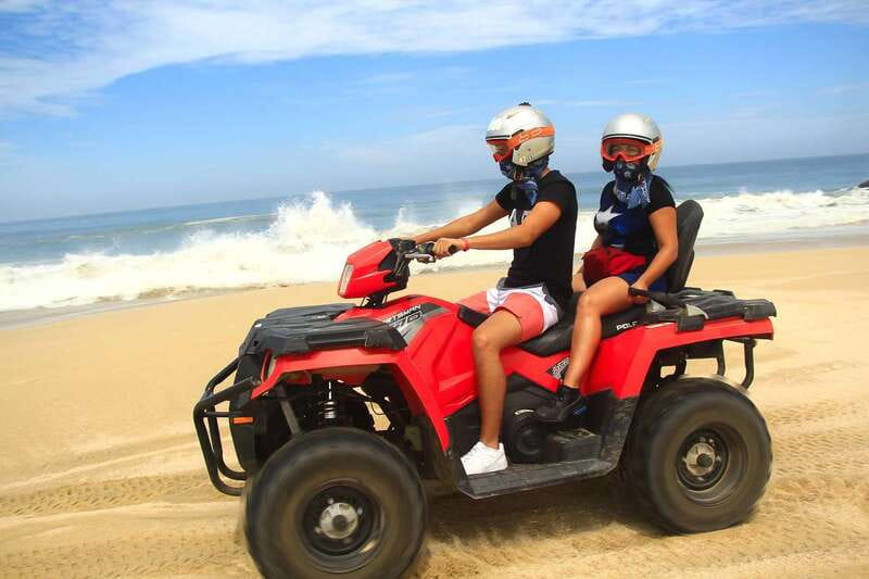 Cabo: Beach & Desert Single ATV Tour with Tequila Tasting - Desert riding plus wildlife sightings: the part that feels like Baja
