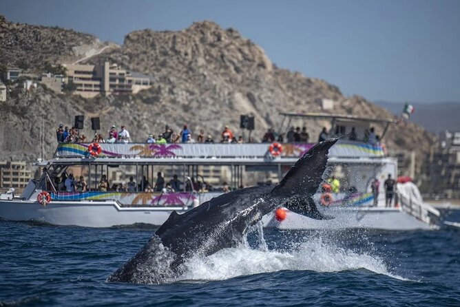 Cabo Boat Tour: Drinks, Lunch, Snorkeling, Dancing, and Transport - A Cabo Catamaran That Mixes Snorkel Time, Lunch, and a Dance Party