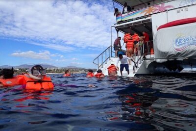 Cabo Boat Tour: Drinks, Lunch, Snorkeling, Dancing, and Transport - Price and What You Get for $250