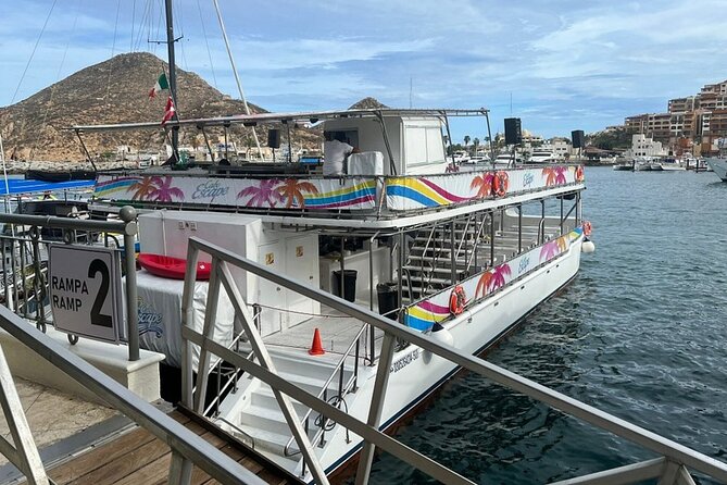Cabo Boat Tour: Drinks, Lunch, Snorkeling, Dancing, and Transport - The Real-World Trade-Offs: Wildlife, Food Options, and Drink Strength
