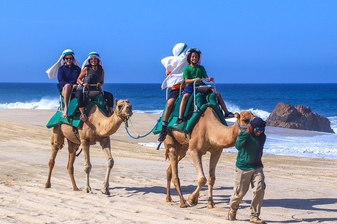 Cabo Camel Ride Experience - Key things to know before you go