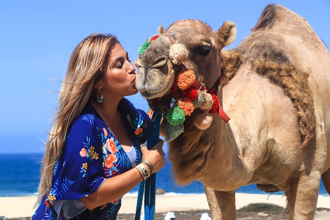 Cabo Camel Ride Experience - El Migriño Beach: why this camel ride feels more “place-based”