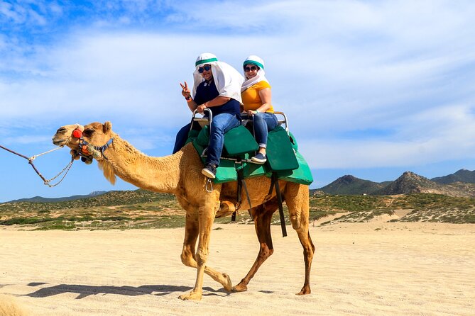 Cabo Camel Ride Experience - Loading zone to first steps: how the ride actually works