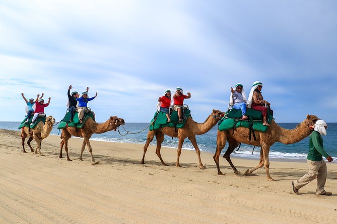 Cabo Camel Ride Experience - Small-group rhythm: why the max 10 matters more than you think