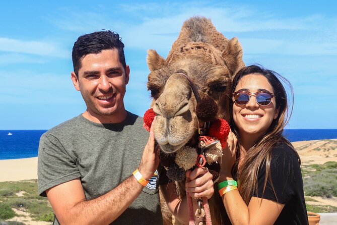 Cabo Camel Ride Experience - Pickup to arrival: what your timing should assume
