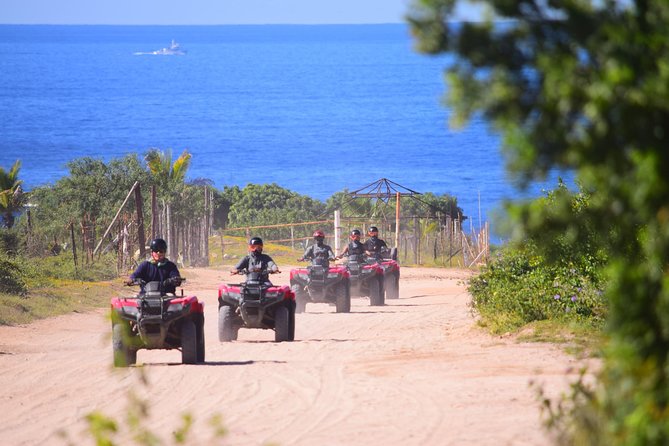 Cabo Candelaria Village Adventure + Tequila Tasting - Key things that make this tour worth your time