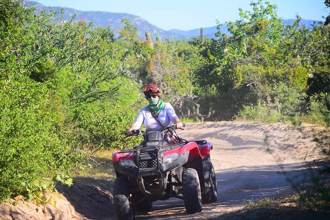 Cabo Candelaria Village Adventure + Tequila Tasting - Tequila Tasting: The Calm, Local Finish to a Fast Ride
