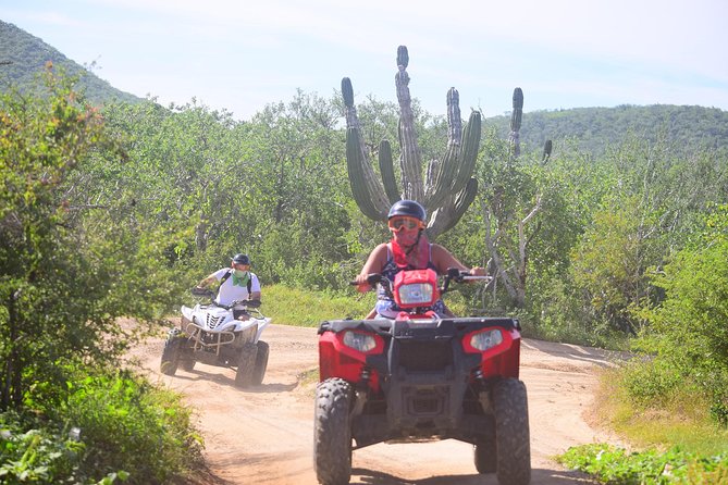 Cabo Candelaria Village Adventure + Tequila Tasting - Final call: Should you book this tour?