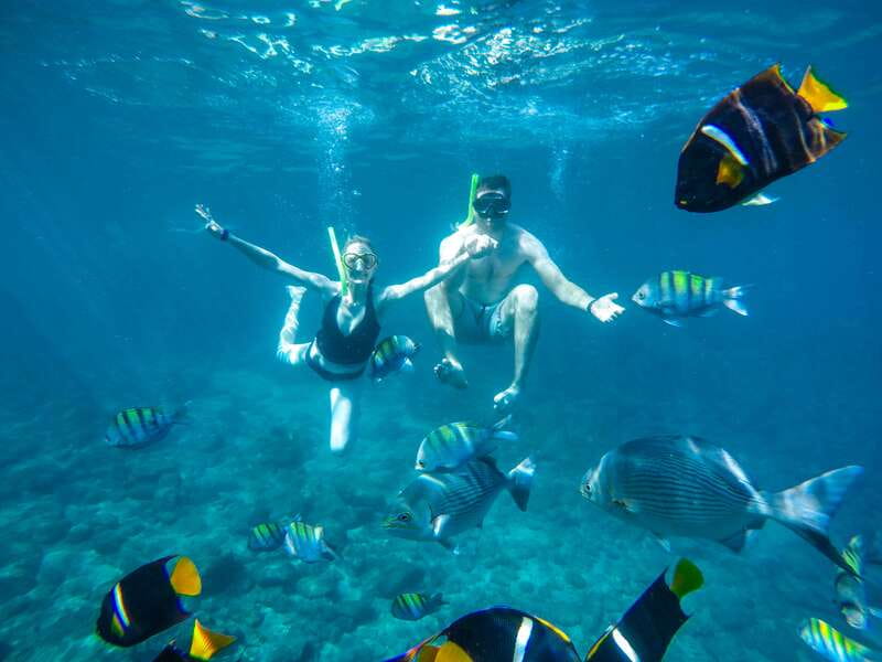 Cabo Catamaran Snorkel: Arch & Santa Maria, Open Bar, Snacks - From D Dock to La Princesa: how the day starts