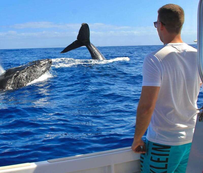Cabo Catamaran Snorkel: Arch & Santa Maria, Open Bar, Snacks - Open bar and snacks: where this tour delivers comfort