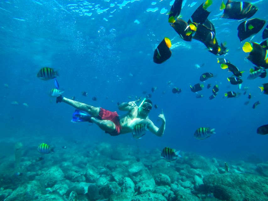 Cabo Catamaran Snorkel: Arch & Santa Maria, Open Bar, Snacks - Price and logistics: is $75 a smart value in Cabo?